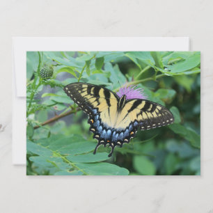 Carte De Correspondance Papillon