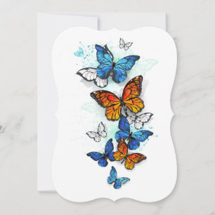 Carte De Correspondance Papillons volants Morpho et Monarch