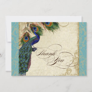 Carte De Correspondance Peacock Feathers Formal Merci Notes Aqua Blue