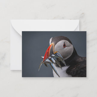 Carte De Correspondance Pêche