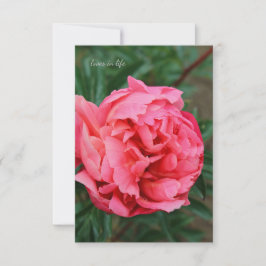 Carte De Correspondance Peine rose complète