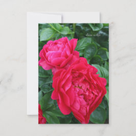 Carte De Correspondance Peine rose rougeâtre