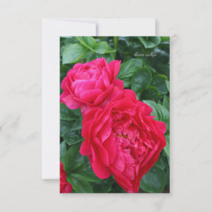 Carte De Correspondance Peine rose rougeâtre