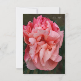 Carte De Correspondance Peony rose