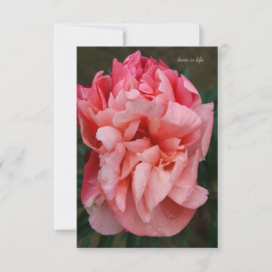 Carte De Correspondance Peony rose