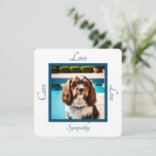 Carte De Correspondance Pet chien personnalisable photo sympathie
