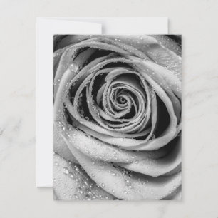 Carte De Correspondance Pétales roses 5