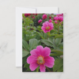 Carte De Correspondance Pies roses simples