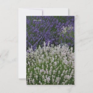 Carte De Correspondance Plantes de lavande violet et blanc