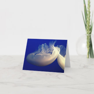 Carte de correspondance pliée