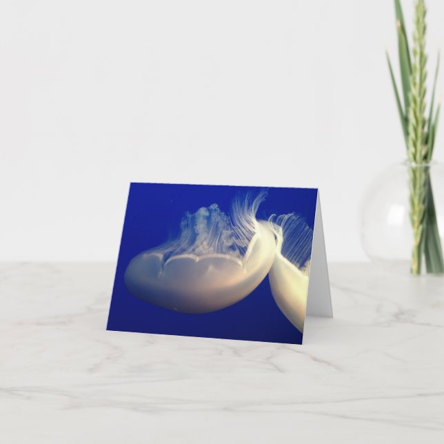 Carte de correspondance pliée (Devant)