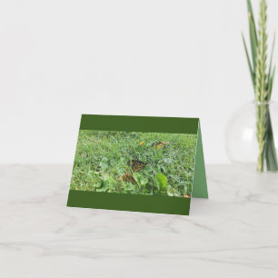 Carte de correspondance pliée