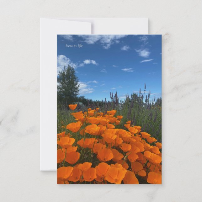 Carte De Correspondance Poppies et lavande de Californie (Devant)