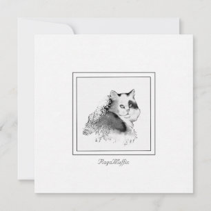 Carte De Correspondance RagaMuffin Chat Charbon esquissé