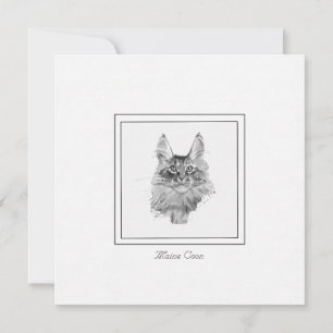 Carte De Correspondance Regal Maine Chat à Coon Sketed en noir et blanc