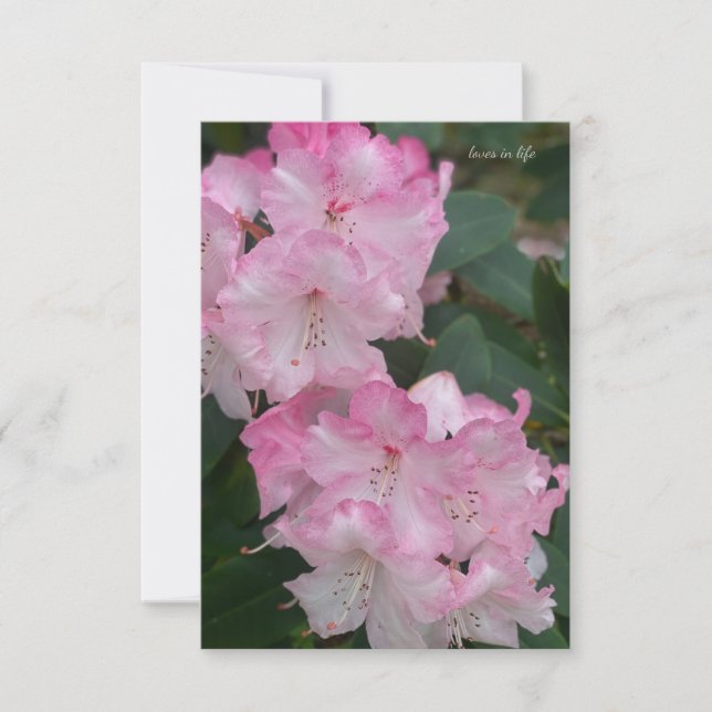 Carte De Correspondance Rhododendron rose clair (Devant)