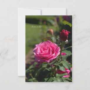 Carte De Correspondance Rose & Bud rose