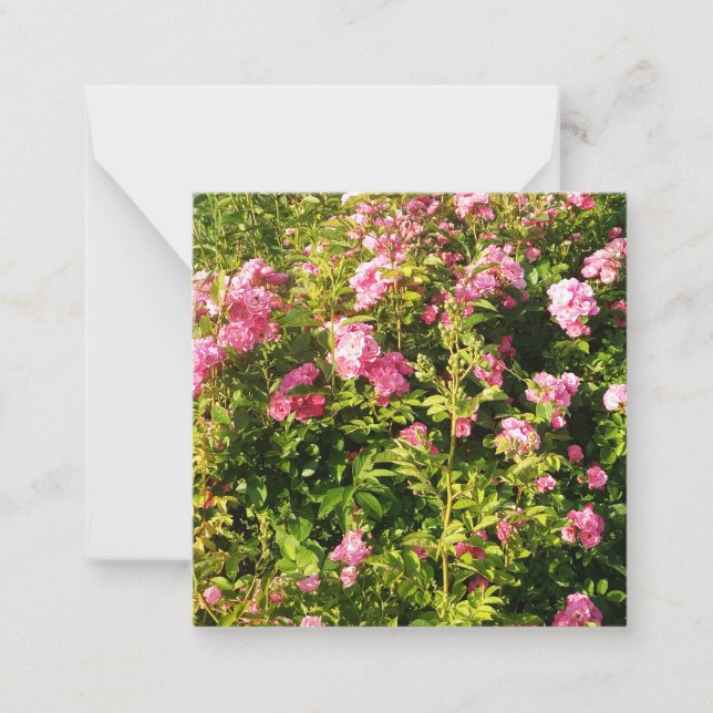 Carte De Correspondance Roses roses florissantes (Devant)