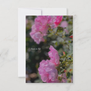 Carte De Correspondance Roses roses roses douces
