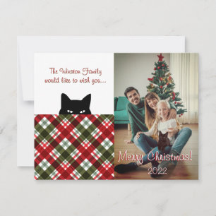 Carte De Correspondance Sneaky Cat Royal Stewart Tartan Plaid Christmas