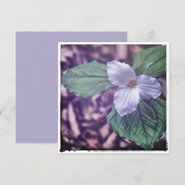 Carte De Correspondance Sprint Trillium Autochrome Style (Devant / Derrière)