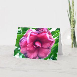 Carte de correspondance stationnaire Camellia
