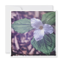 Style Sprint Trillium Autochrome
