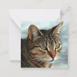 Carte De Correspondance Tabby Cat étonnant FermerPortrait Artistique