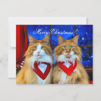 Carte De Correspondance Tony et Teddy Christmas Card