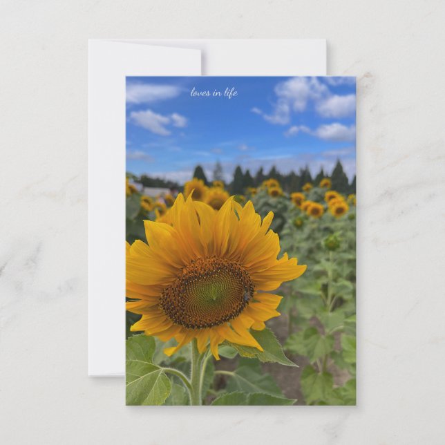 Carte De Correspondance Tournesol (Devant)