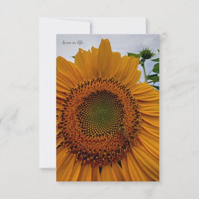 Carte De Correspondance Tournesol et abeille (Devant)