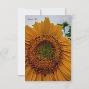 Carte De Correspondance Tournesol et abeille