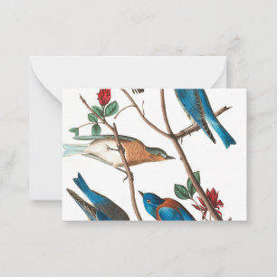 Carte De Correspondance Townsend Warbler par John James Audubon