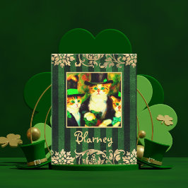 Carte De Correspondance Triste Capnip pas Clover Saint Catrick's Day Cats