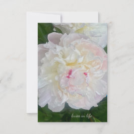 Carte De Correspondance Une pivoine rousse rêveuse