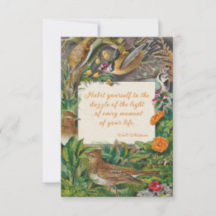 Carte De Correspondance Vintage Birds & Whitman (éblouissant de la lumière