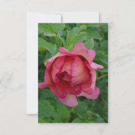 Carte De Correspondance Yummy rose floroming Peony