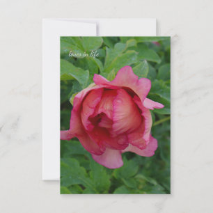 Carte De Correspondance Yummy rose floroming Peony