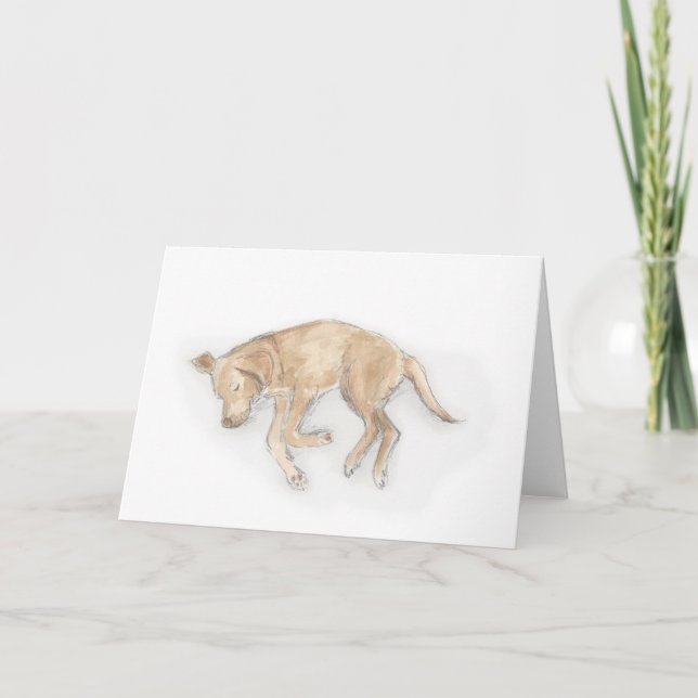 Carte de couchage Labrador (Devant)