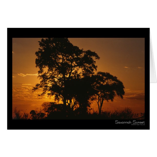 Carte de coucher de soleil Savannah (Devant Horizontal)