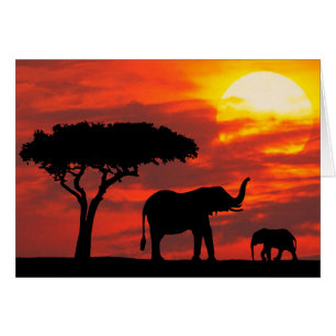 Carte de coucher du soleil