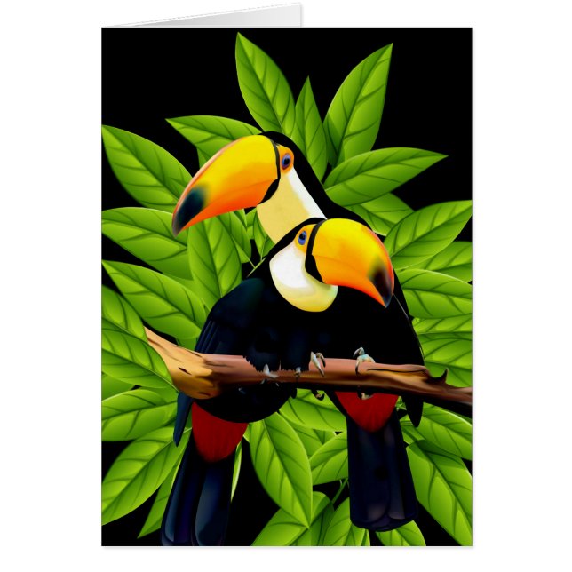 Carte de crédit exotic toucan (Devant)