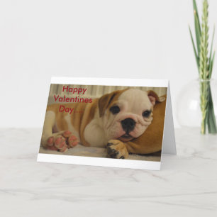 Carte de Cute Valentine