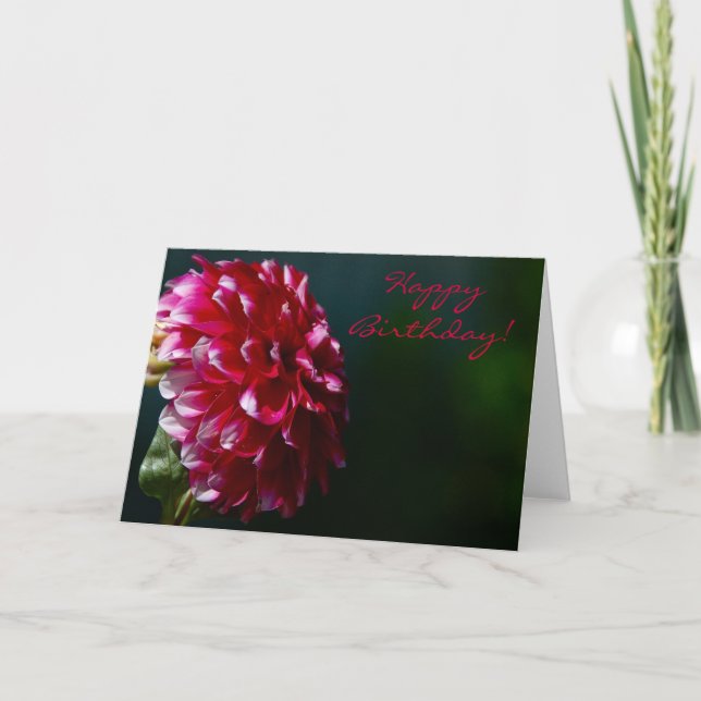 Carte de dahlia de joyeux anniversaire (Devant)
