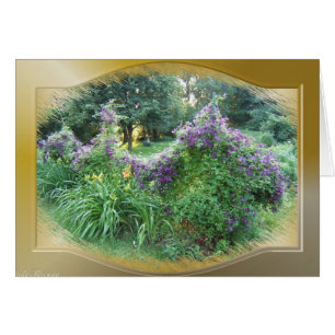 Carte de ~ de clématite de Swagged