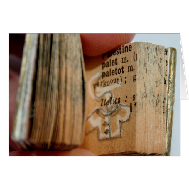 Carte de dessin de la veste miniature DicofrAngle (Devant horizontal)