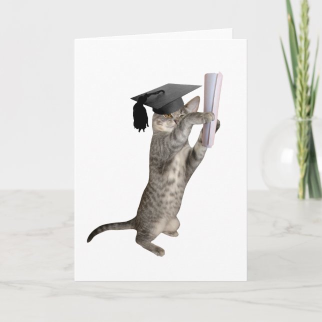 Carte de diplôme Tabby Kitten (Devant)