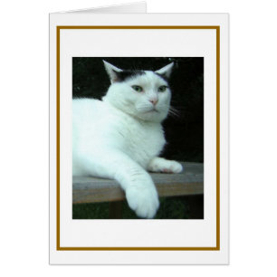 Carte de doutes de Wilson