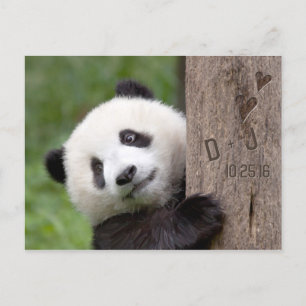 Carte de faire-part de mariage avec un ours panda