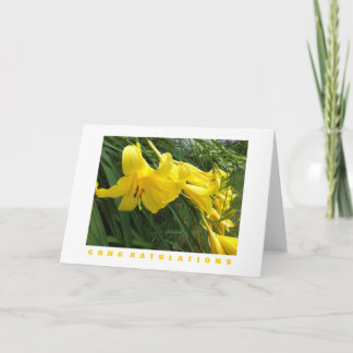 Carte de félicitations : Daylilies, Jaune